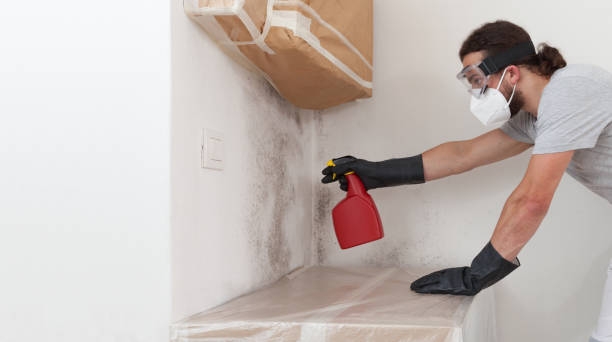 Professional Basement Mold Remediation technician working in Perth Amboy, NJ
