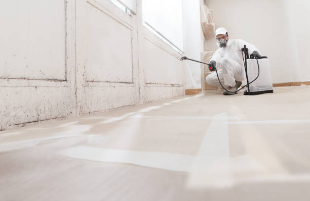 24/7 Emergency Basement Mold Remediation experts in Perth Amboy, NJ